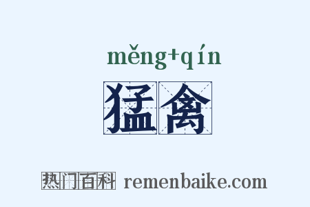 猛禽是什么意思的图片